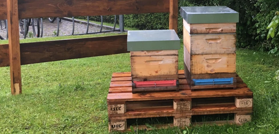 Bienenstock Im Garten Aufstellen Bienenstock Im Garten Aufstellen