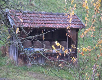 Bienenhaus