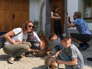 ausflug 2018 hunde streicheln