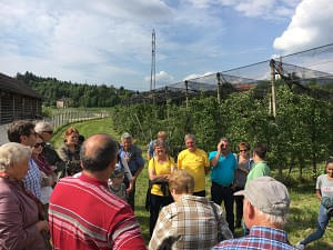 besuch beim obstbauern
