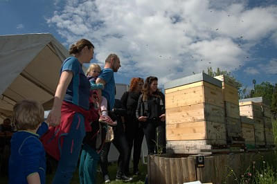 Tag des offenen Bienenstocks