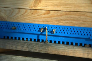 Flugloch mit Bienen