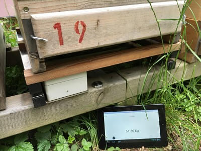 Stockwaage im Einsatz