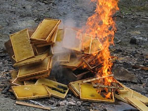 Verbrennen Bienenwaben