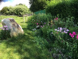 Blumen im Paradiesgarten