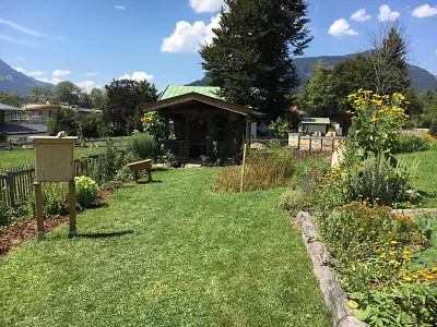 Bild Paradiesgarten